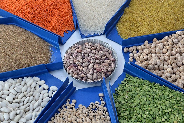Bazı tarım ürünleri "kati ihracat" kriterine bağlandı