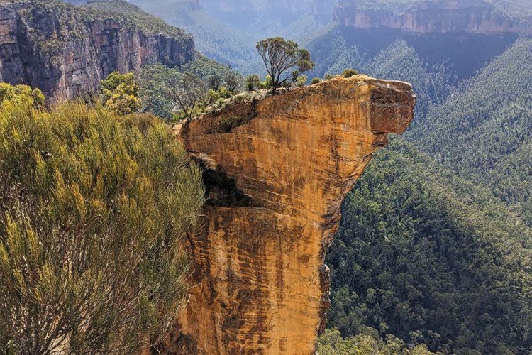Sidney'in Mavi Dağları