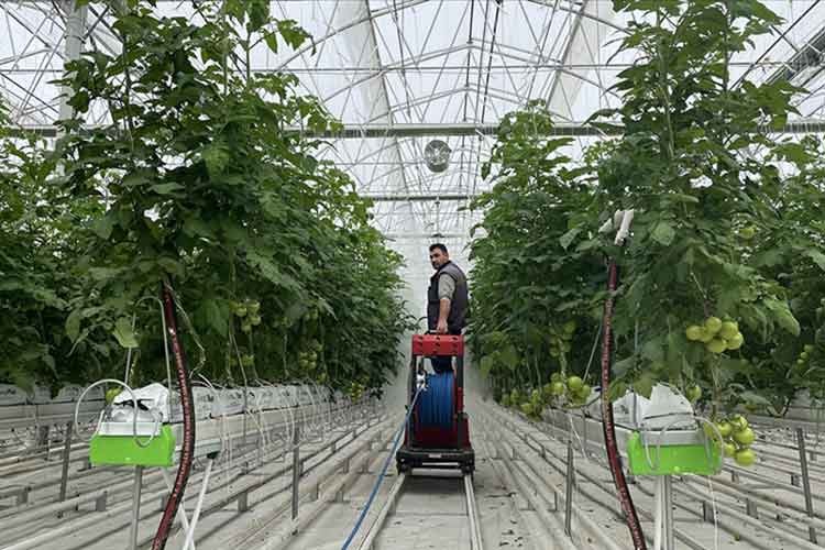 Jotermal kaynaklı Sera 1 milyar lira katkı sağlayacak