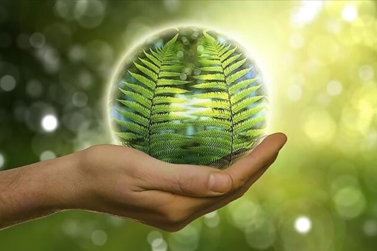 Mısır yeşil hidrojen üretim projesini onayladı