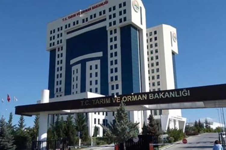 Genç girişimcilere 75 milyon liralık ek bütçe