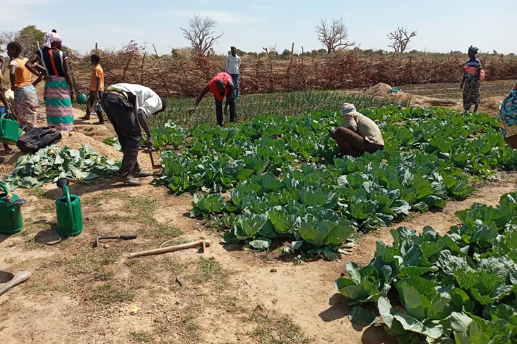 "Gıda fiyatları en yüksek düzeyde"
