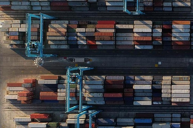 "Export Academi" online ortamda