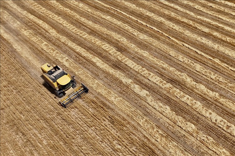 Tarım sayımının yüzde 90'ı tamamlandı