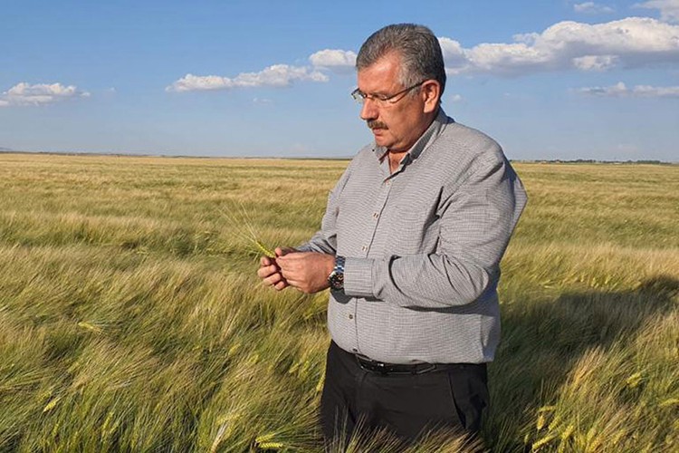 TMO alımlarına ilişkin üreticilere tavsiye