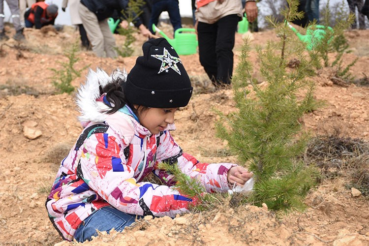 Konya'da fidanlar toprakla buluşturuldu