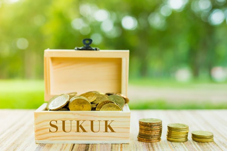 Sukuk ihracında beklenti yüzde 5.5