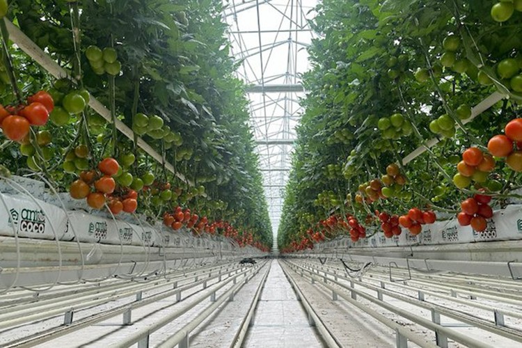 3 yeni jeotermal kuyu açılacak