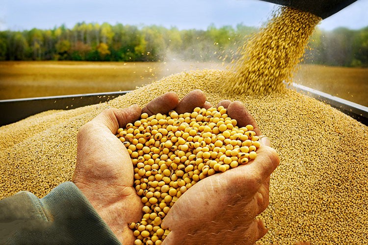 Gıda sektöründe değişim