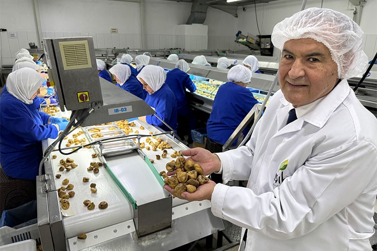 Türkiye organikte de dünyanın gıda ambarı