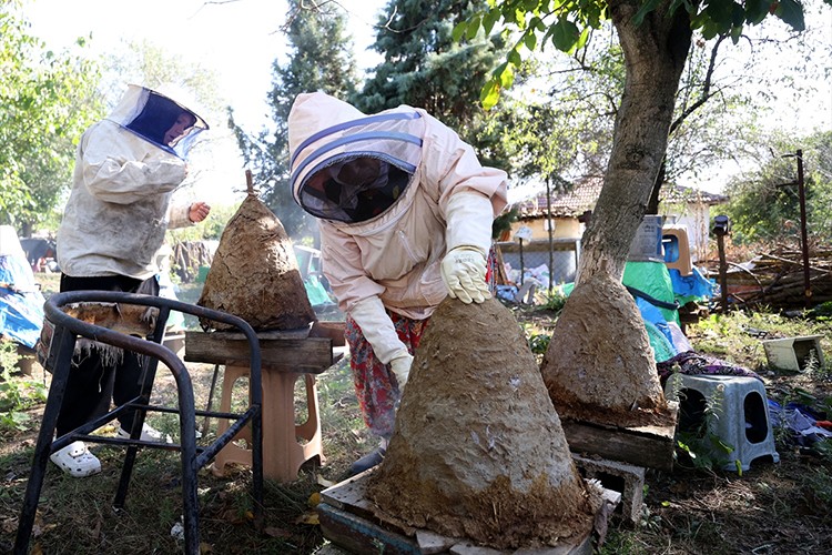 Konik sepetlerde 30 yıldır bal üretiyor