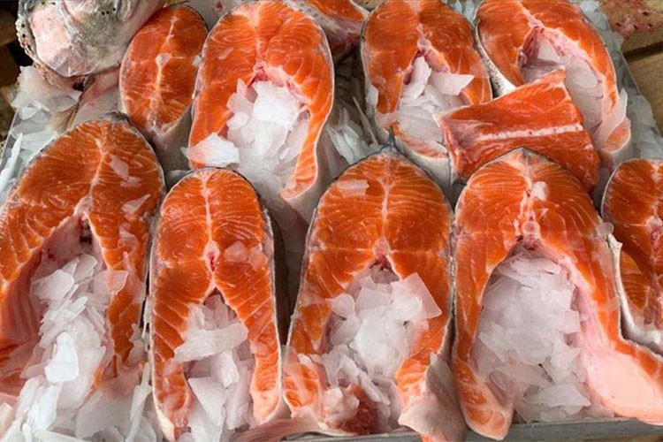 Türk somonu ihracatı 3,9 milyon doları aştı