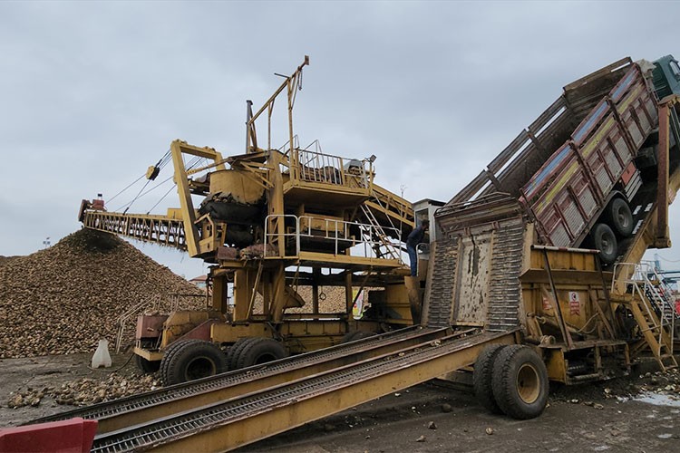 Amasya Şeker Fabrikası 80 bin ton kristal şeker üretecek
