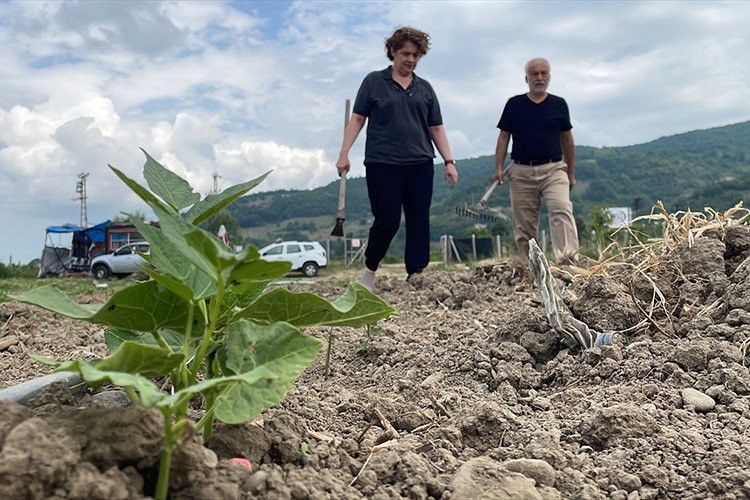 Tarıma kazandırdığı atıl arazide organik ürünler yetiştiriyor