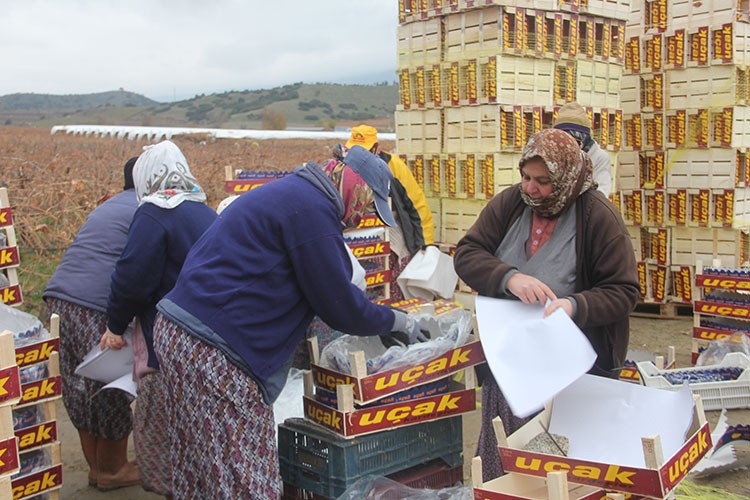 "Kanaviçe"nin altından çıkarıldı