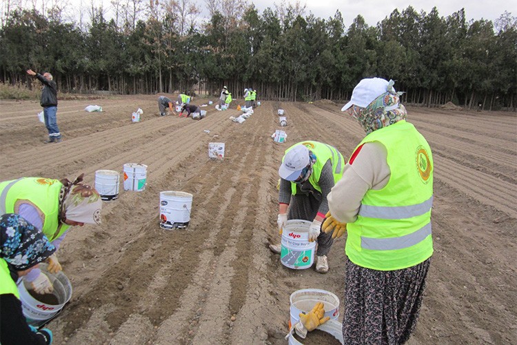 Kadınların Gücüyle Yeşeren Ormanlar