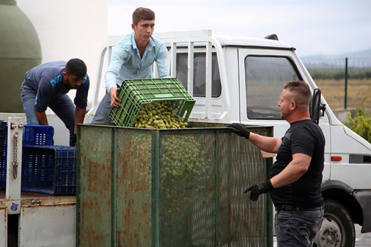 İhracat 142 milyon dolar