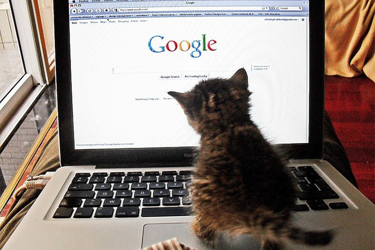 Yargıç, Google'ın fazla seçenek sunmasına hükmetti