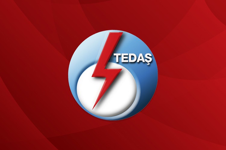 TEDAŞ'ın Canlı Hat Bakım Projesi için ihale süreci başladı