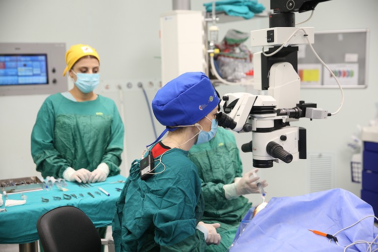 Türk göz hekimleri canlı cerrahide dünyaya öncülük ediyor