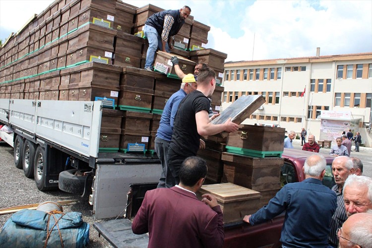 Kırklareli'nde 156 arı üreticisine 1400 kovan dağıtıldı