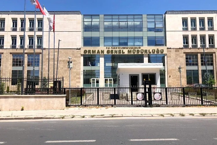 Orman Genel Müdürlüğü 26 işçi istihdam edecek