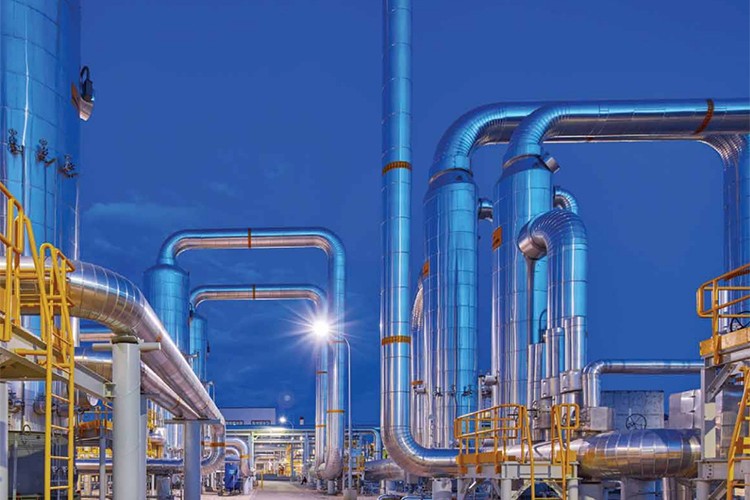 2019 Türkiye raporunu açıkladı