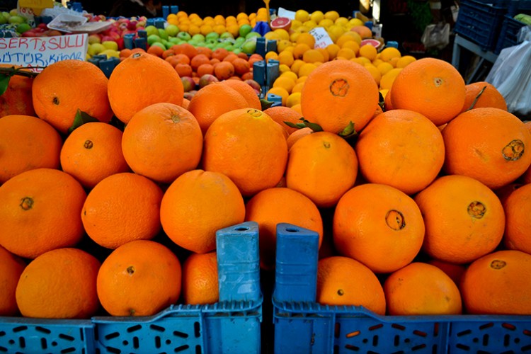 128 milyon dolarlık turunçgil ihracatı
