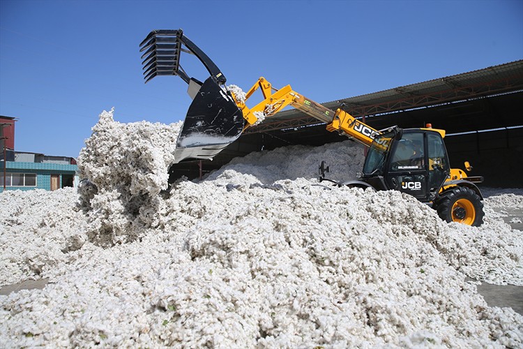 Pamukta 2 milyon 750 bin ton rekolte bekleniyor