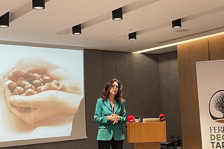 Fındıkta iyi tarım uygulamaları yaygınlaşıyor