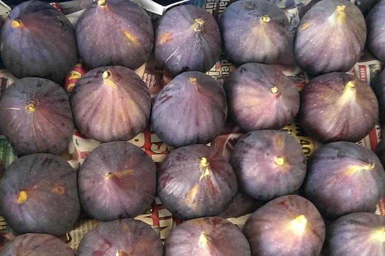 Taze incir ihracatında hedef 100 milyon dolar