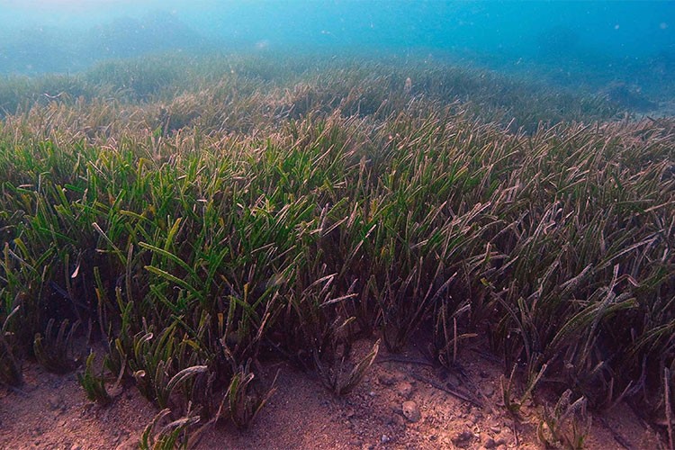 AB'den, Yunanistan'ın Ege Denizi'nde karbon depolama projesine destek