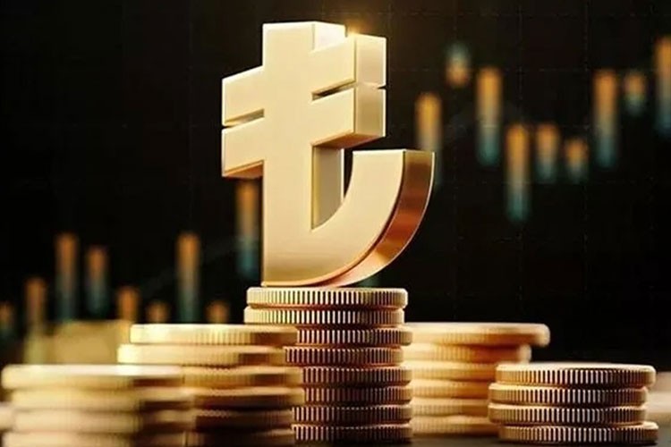 "Dijital Türk Lirası Projesi" ekosistemine katılım çağrısı: