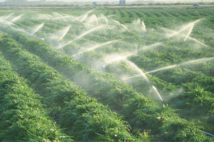 Yeniden yapılandırma