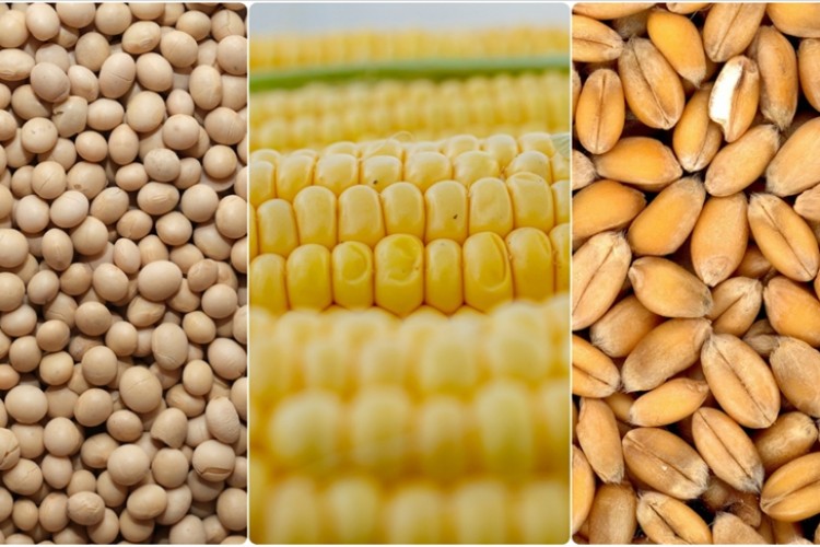 Emtia piyasası geçen hafta iç açıcı bir performans sergilemedi