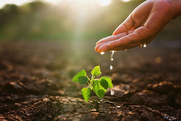 Toprak ile su kaybı, gıdayı ve geleceği doğrudan tehdit ediyor