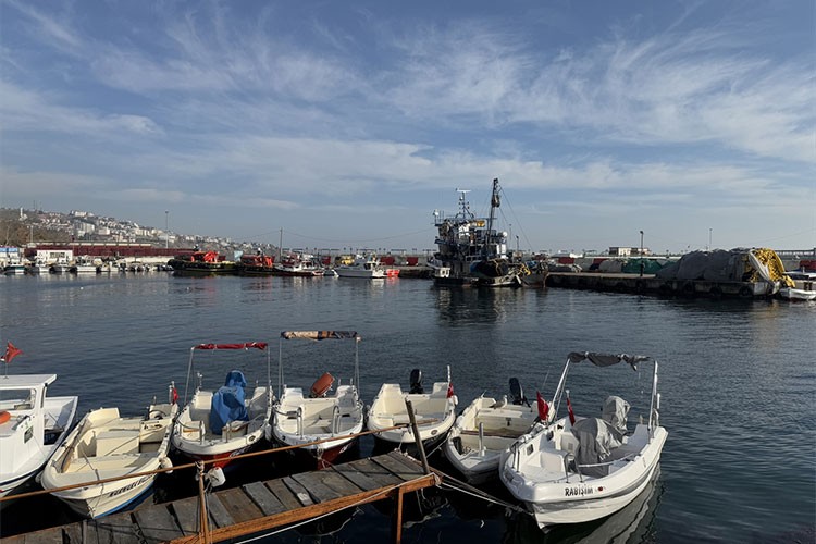 Tekirdağlı balıkçılar yeni yılda hamsi ve çinekoptan umutlu