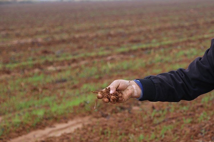 Yağışlar nefes aldırdı