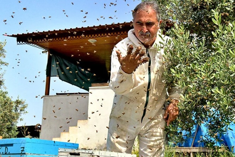 Hobi olarak arıcılığa başlayan terör gazisi, devlet desteğiyle 400 kovana ulaştı