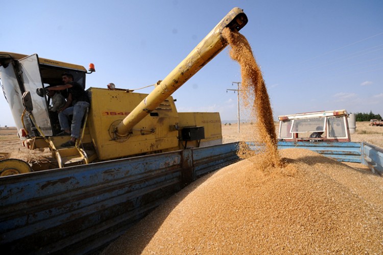 TMO müdahale planı devreye aldı