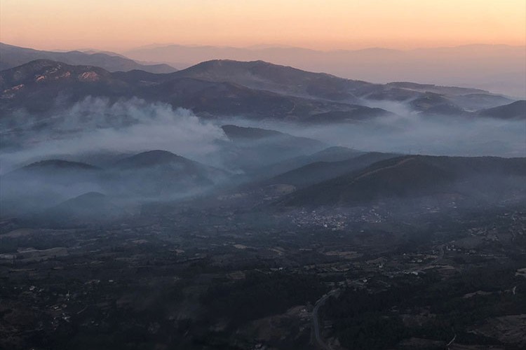 Aydın'ın Bozdoğan ilçesinde orman yangını