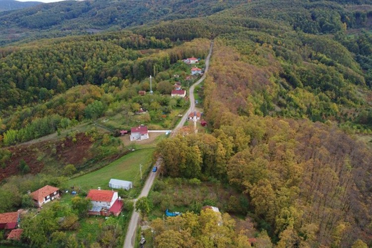 Orman ile yerleşim alanları arasında tampon bölgeler oluşturulacak