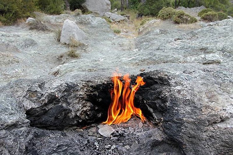 İşletmeler kiralanacak