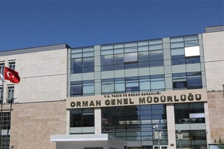Orman Genel Müdürlüğü 252 daimi işçi istihdam edecek