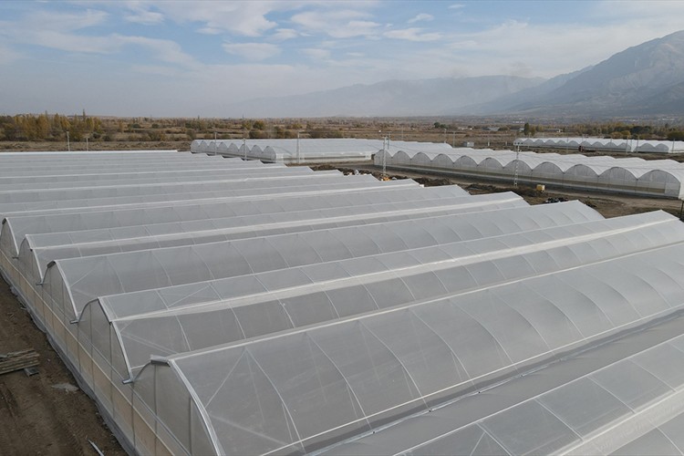 Doğu Anadolu'nun en büyük toplu sera alanı Erzincan'da kurulacak