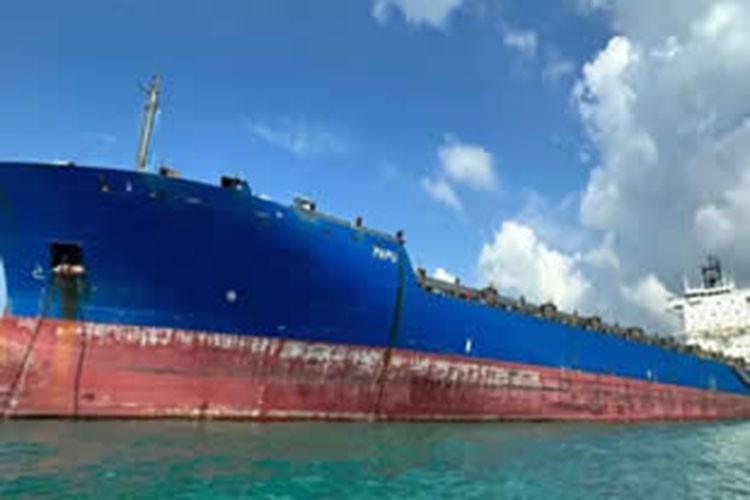 Akar Group'tan filoya yeni takviye