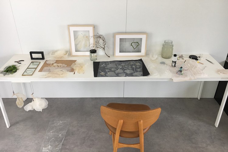 Doğa ve insan birlikteliğine yeni bir bakış