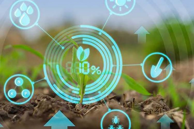 Gastronomide Teknoloji Kullanımı