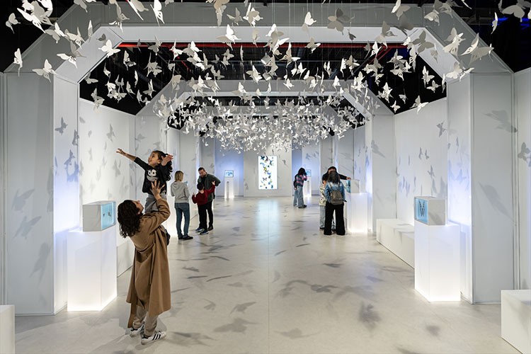 Dijital deneyim merkezi "Katılım Emeklilik DigiZoo" tanıtıldı