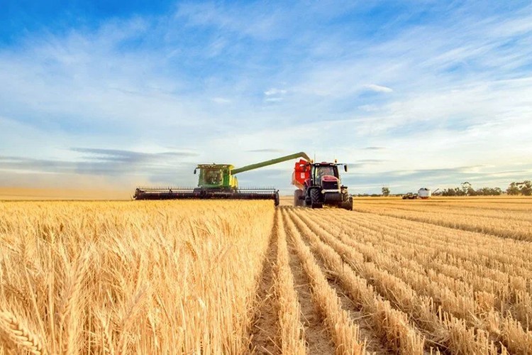 Türkiye, bölgesinde tarım sektöründe stratejik ortak olarak görülüyor